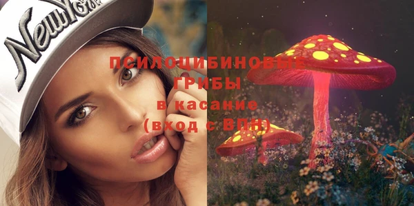 MESCALINE Новодвинск