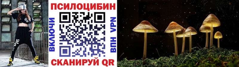 гидра зеркало Монино Псилоцибиновые грибы GOLDEN TEACHER